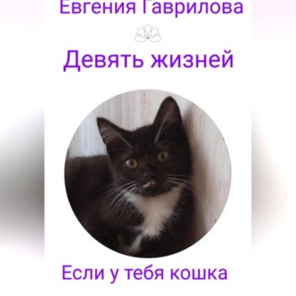 Обложка книги «Девять жизней. Если у тебя кошка.»