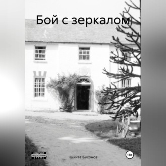 Обложка книги «Бой с зеркалом»