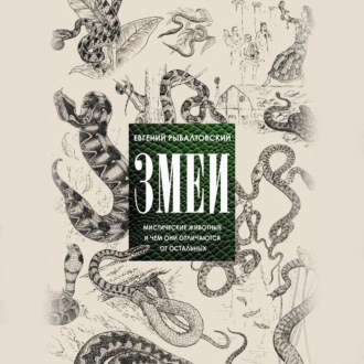 Обложка книги «Змеи. Мистические животные и чем они отличаются от остальных»