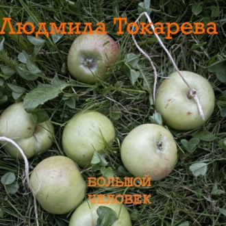 Обложка книги «Большой человек»