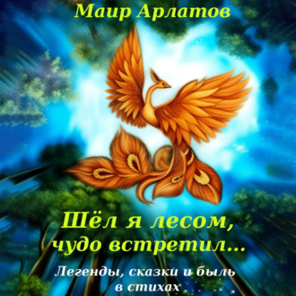 Обложка книги «Шёл я лесом, чудо встретил…»