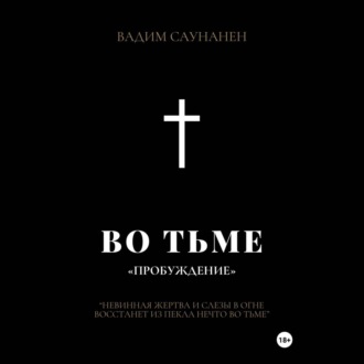 Обложка книги «Во тьме. ПРОБУЖДЕНИЕ»