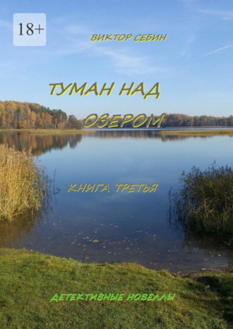 Виктор Себин. Туман над озером. Книга третья