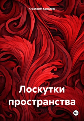 Обложка книги «Лоскутки пространства»