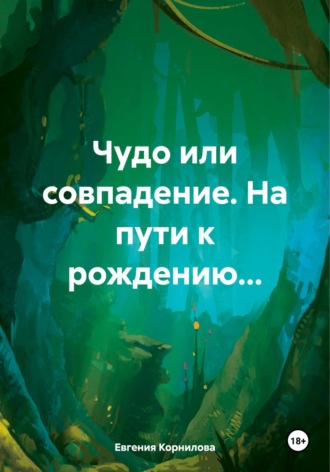 Обложка книги «Чудо или совпадение. На пути к рождению…»