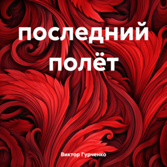 Обложка книги «последний полёт»