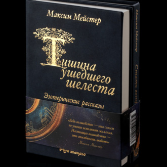Обложка книги «Тишина ушедшего шелеста»