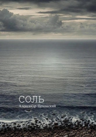 Обложка книги «Соль»
