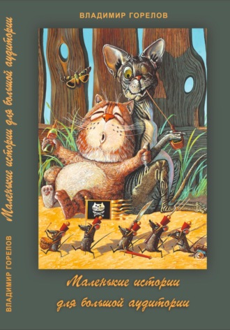 Обложка книги «Маленькие истории для большой аудитории»