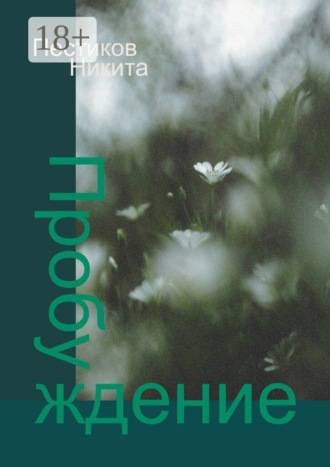 Обложка книги «Пробуждение»