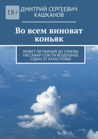 Дмитрий Сергеевич Кашканов. Во всем виноват коньяк. Может ли пьяный до синевы пассажир спасти воздушное судно от катастрофы