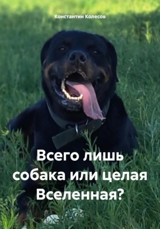 Обложка книги «Всего лишь собака или целая Вселенная?»