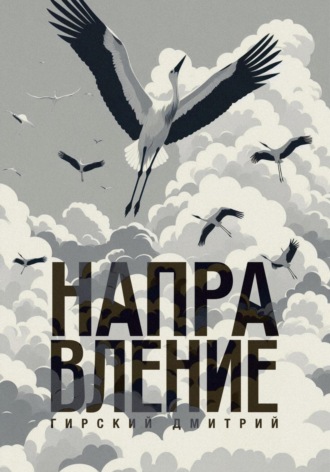 Обложка книги «Направление 3»