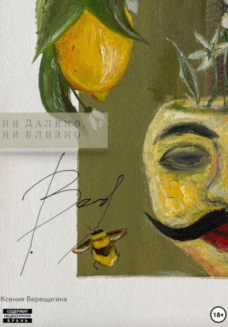 Обложка книги «Ни далеко, ни близко»
