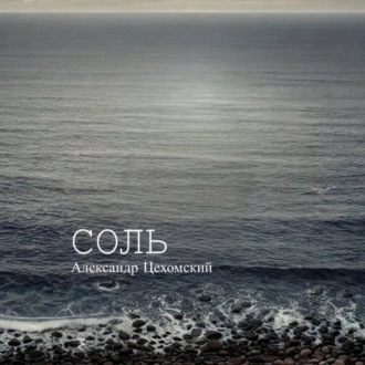 Обложка книги «Соль»