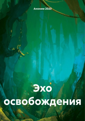 Обложка книги «Эхо освобождения»