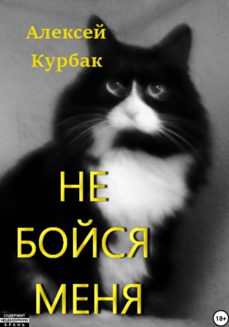 Обложка книги «Не бойся меня»