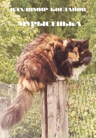 Обложка книги «Мурысенька»