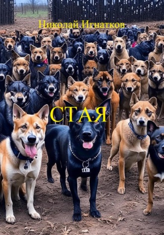 Обложка книги «Стая»
