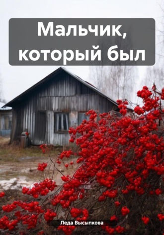 Обложка книги «Мальчик, который был»