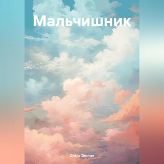 Обложка книги «Мальчишник»