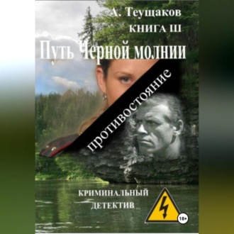 Обложка книги «Путь Черной молнии 3»