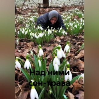 Обложка книги «Над ними сон-трава»