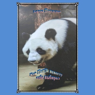 Обложка книги «Как медведь Панда себе невесту выбирал»