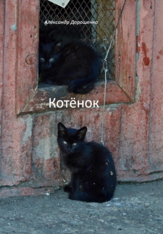 Обложка книги «Котёнок»