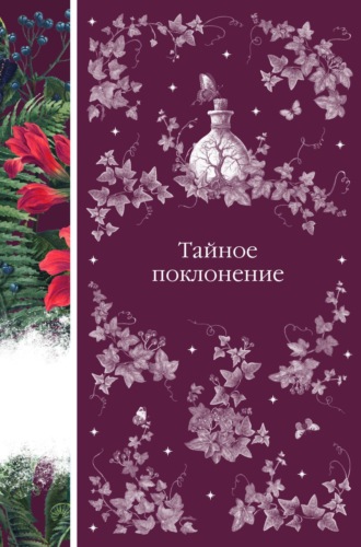 Обложка книги «Тайное поклонение»
