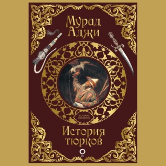 Обложка книги «История тюрков»
