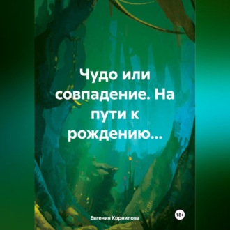 Обложка книги «Чудо или совпадение. На пути к рождению…»