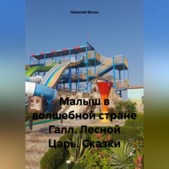 Обложка книги «Малыш в волшебной стране Галл. Лесной Царь. Сказки»