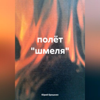 Обложка книги «полёт «шмеля»»