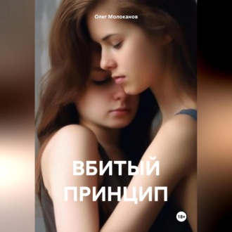 Обложка книги «ВБИТЫЙ ПРИНЦИП»