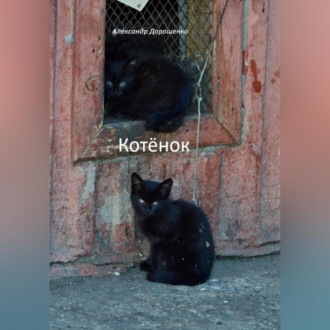 Обложка книги «Котёнок»