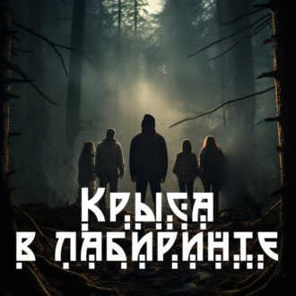 Обложка книги «Крыса в лабиринте»