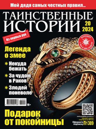 Обложка книги «Таинственные истории №20/2024»