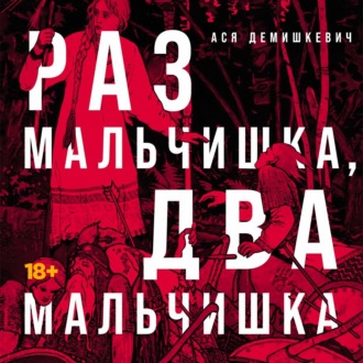 Обложка книги «Раз мальчишка, два мальчишка»