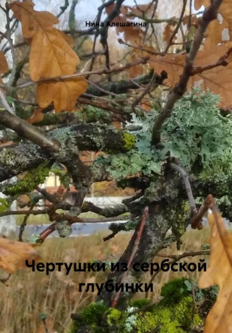 Нина Александровна Алешагина. Чертушки из сербской глубинки