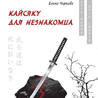 Обложка книги «Кайсяку для незнакомца»