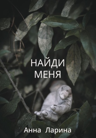 Обложка книги «Найди меня»
