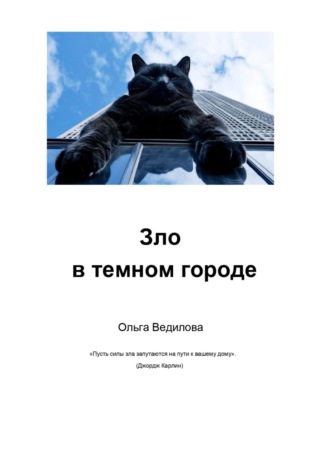 Обложка книги «Зло в темном городе»
