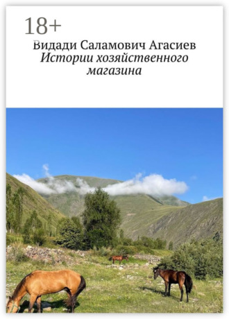Обложка книги «Истории хозяйственного магазина»