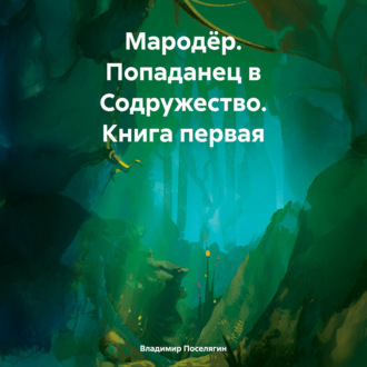 Обложка книги «Мародёр. Попаданец в Содружество. Книга первая»
