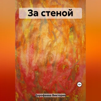 Обложка книги «За стеной»