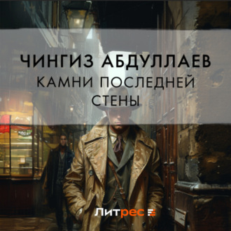 Обложка книги «Камни последней стены»