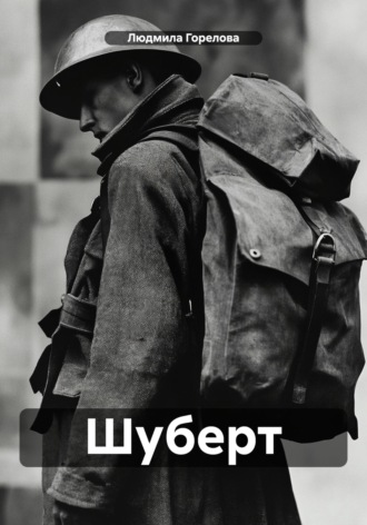 Обложка книги «Шуберт»