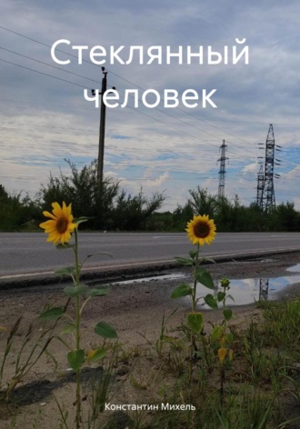 Обложка книги «Стеклянный человек»