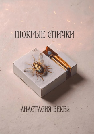 Обложка книги «Мокрые спички»